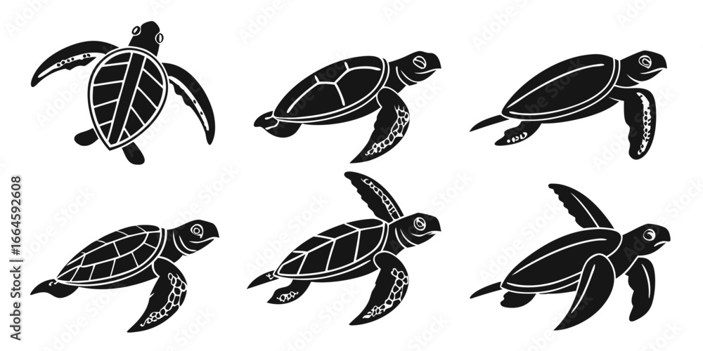 Fototapeta premium Six Stylized Black Sea Turtles Swimming