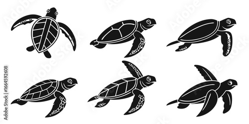 Six Stylized Black Sea Turtles Swimming