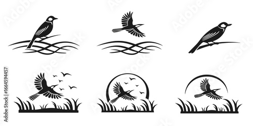 Stylized Black Bird Silhouettes in Nature Scenes