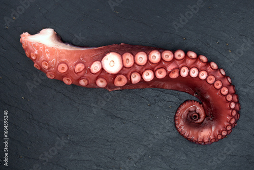 Cooked Octopus tentacle on black slate serving plate, top view of tasty sea food, freshly boiled curved octopus tentacles
