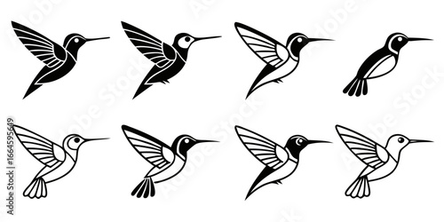 Stylized Hummingbird Collection Flying and Hovering