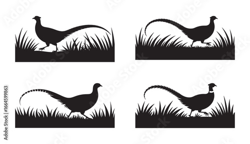 Silhouette images of pheasant birds in grass suitable for vector art designs and logos