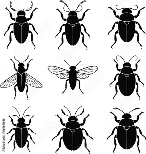 Stylized black and white insect vector grid, symmetrical beetles and flies illustration, entomology art, bug morphology design, scientific and decorative graphic