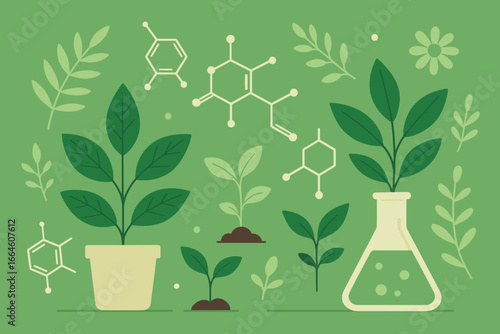 Biology laboratory and science concept with plants and biochemistry structure. Green biotechnology and botany research vector illustration. Nature experiment and ecology background.