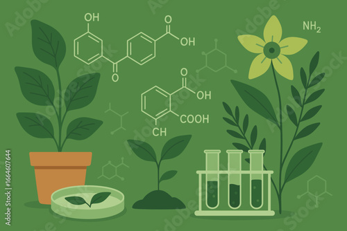 Biology laboratory concept with plants, petri dish, and test tubes. Botanical research and science experiment. Biochemistry and chemistry molecular structure on green background.