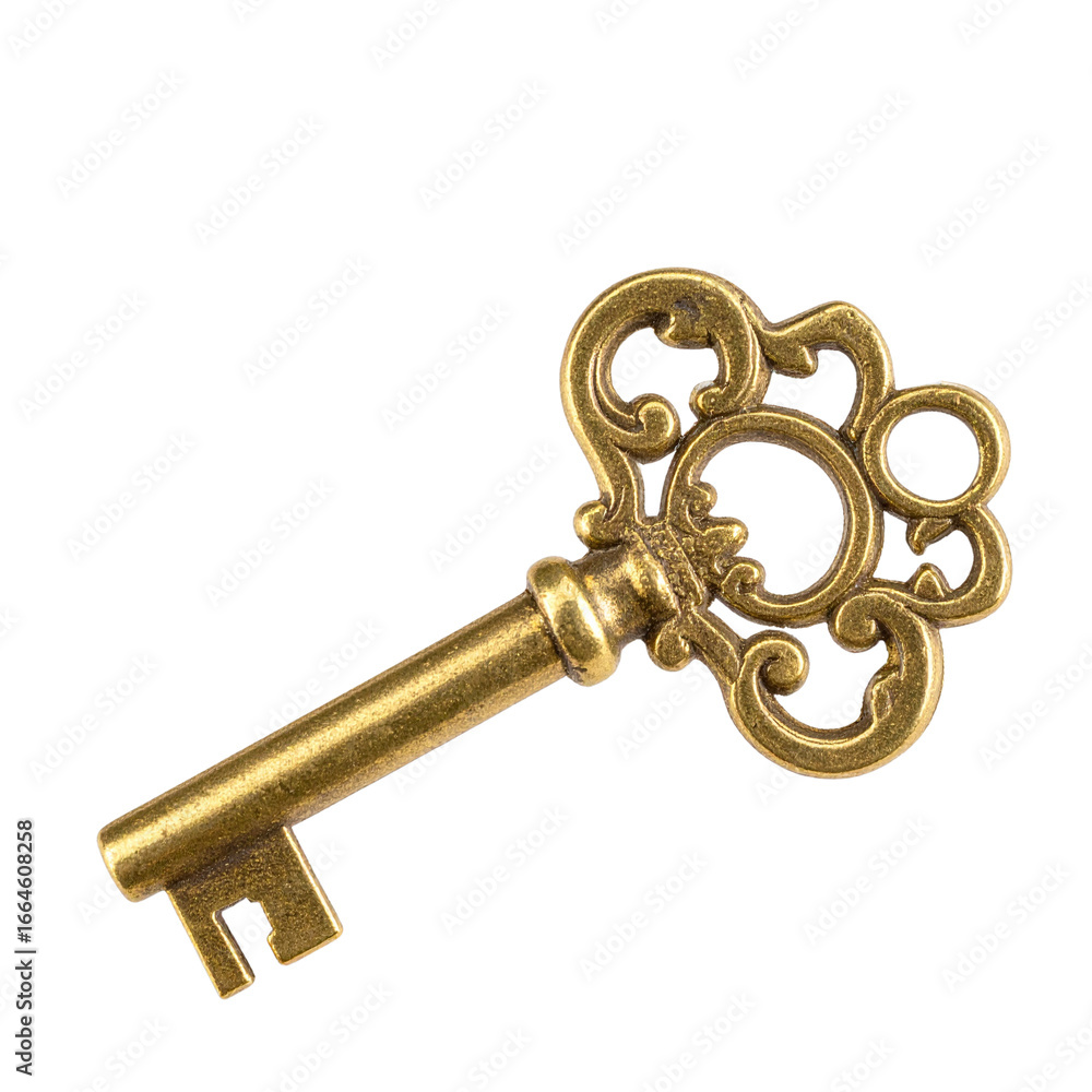 - Ornate Antique Gold Skeleton Key with Filigree Details, isolated on transparent background - Ornate Antique Gold Skeleton Key with Filigree Details, isolated on transparent background