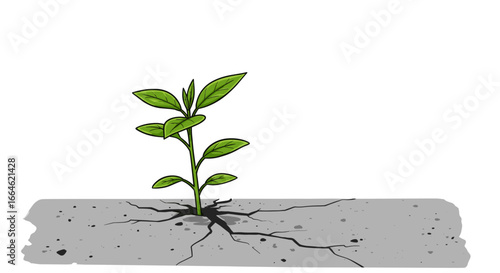 Green plant growing through cracked concrete symbolizing hope resilience and new beginnings isolated on white background