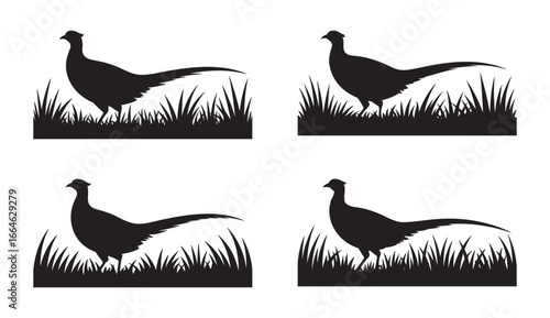 Elegant black silhouette illustrations of pheasants in grassy terrain for various design applications