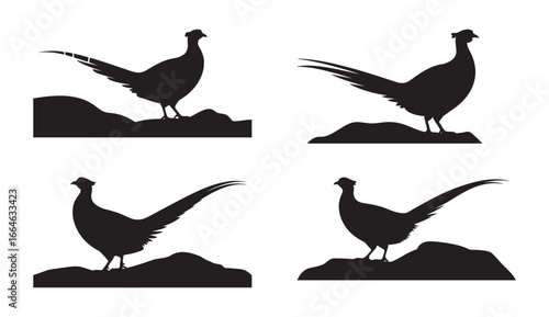 Elegant silhouette illustrations of pheasant birds standing on rocky terrain variations