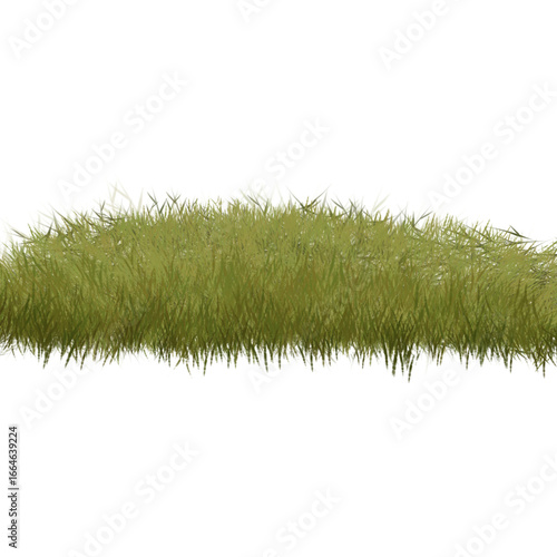 Green grass illustration, green bush