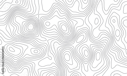 Black and white Topography background. Vector banner. Topography background. Vector geographic contour map. Background of the topographic map. Topographic map lines, contour background.	