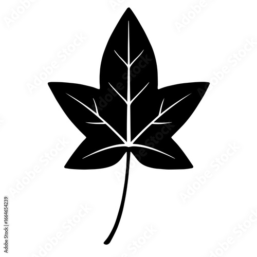 Black and white vector silhouette of a Ivy leaf on a white background  