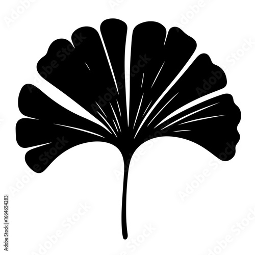 Black and white vector silhouette of a Ginkgo leaf on a white background  