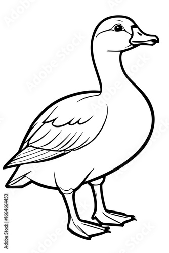 A line drawing of a duck standing with its head turned to the right and its body facing forward