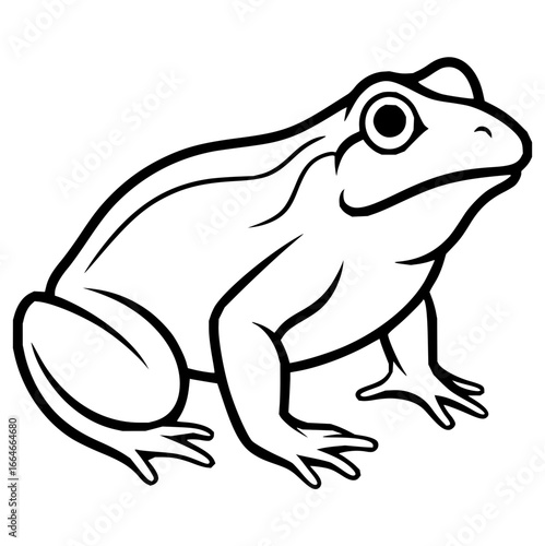 Illustration of a frog with thick black outlines and detailed toes and a large eye on a white background