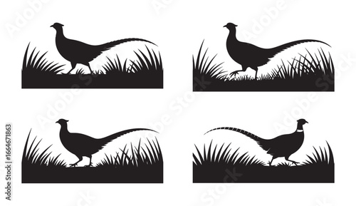 Silhouette illustrations of pheasant birds walking through tall grass with detailed outlines