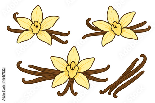 Artistic arrangement of vanilla flowers and pods on white background showcasing natural beauty and culinary potential, vector cartoon illustration, natural vanilla design