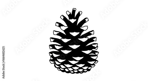Silhouette Pine Cone on Black and White Background for Nature or Holiday Themes