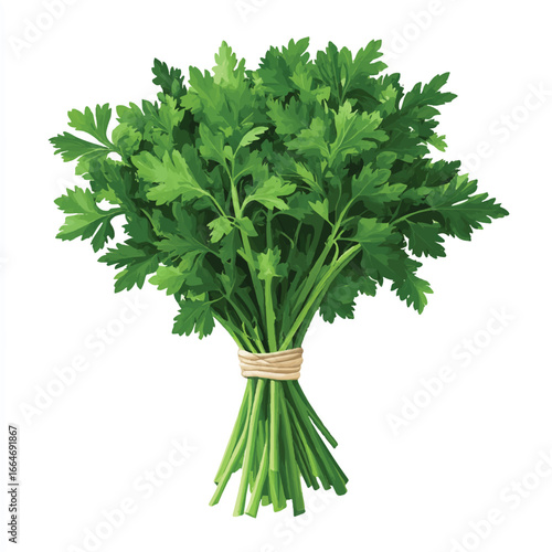 a parsley bunch