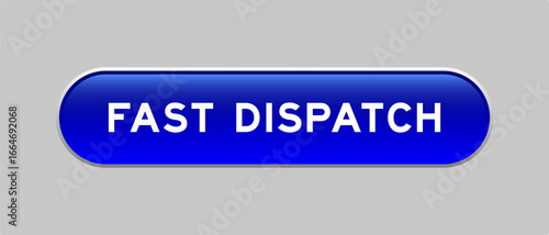 Blue color capsule shape button with word fast dispatch on gray background
