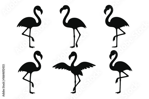 Flamingo silhouette vector set. Collection of black flamingo icons in different poses. Minimalist graphic design element. Tropical, summer theme exotic bird illustration.