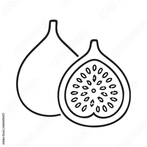 Tropical Fig Fruit