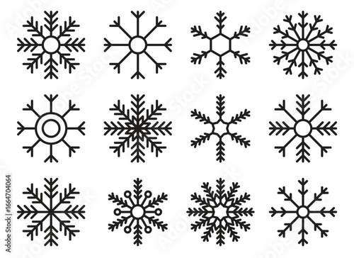 A graphic design compilation presents twelve unique snowflake vector designs, each boasting intricate details and varying patterns, set against a stark white backdrop.