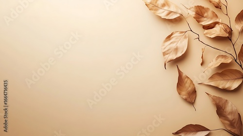Fototapeta Naklejka Na Ścianę i Meble -  Dried leaves on beige background