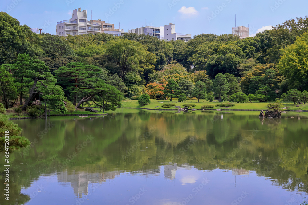 Fototapeta premium 東京散歩 酷暑の六義園2025