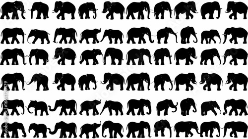 Silhouette pattern of multiple elephants in various poses and arrangements on a white background design art | editable eps vectors