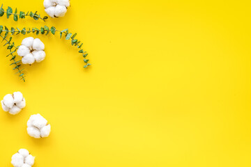 Flowers border with green eucalyptus branches and dry cotton flowers on yellow background top view copy space