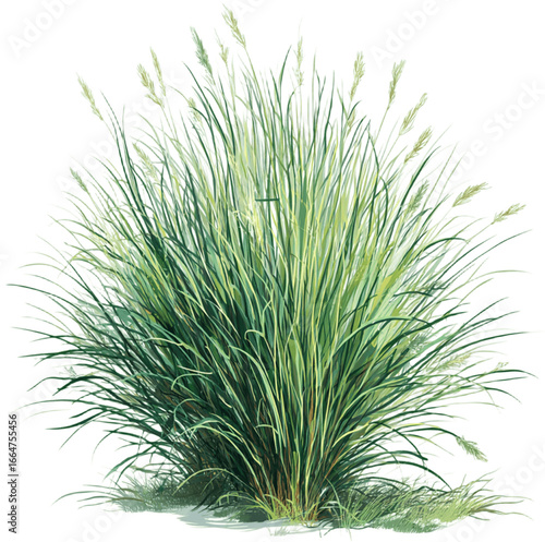 Lush green grass illustration, Generative AI