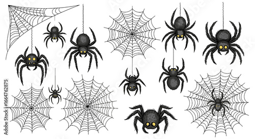 Spiders and webs, a spooky collection in illustration format