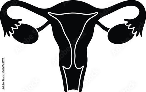 Stylized silhouette female reproductive system anatomy medical illustration vector