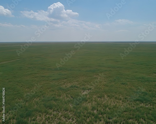 Vast Green Field Landscape Aerial View Sunny Day