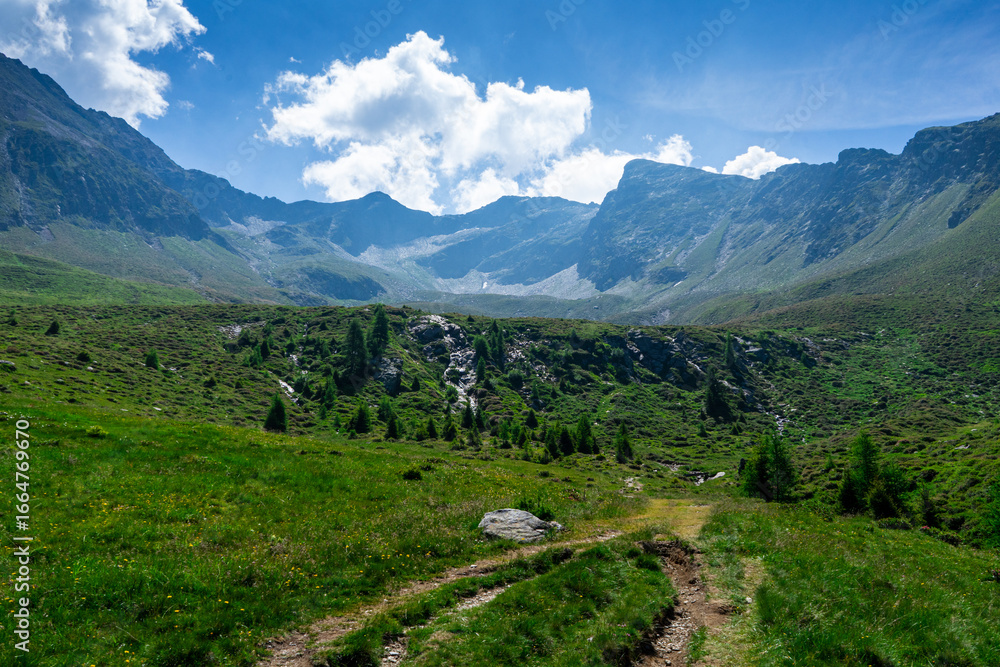 Naklejka premium Rundwanderung auf der Hirzer Alm South Tyrol