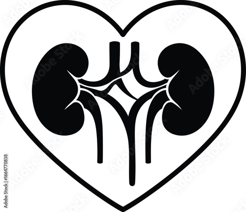 Healthy heart shape with anatomical kidneys inside medical concept vector