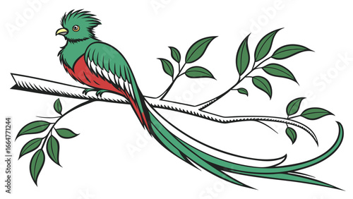 Vibrant Quetzal Perched on Branch Vector Art