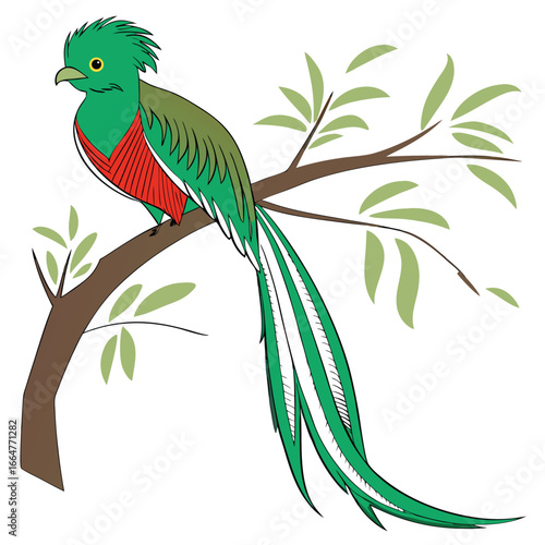 Vibrant Quetzal Perched on Branch Vector Art