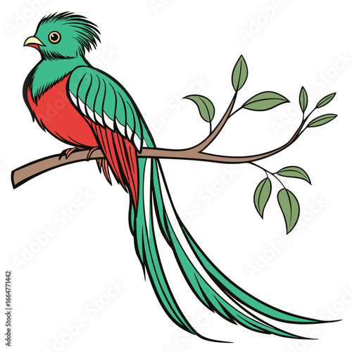 Vibrant Quetzal Perched on Branch Vector Art