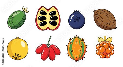 Simple Vector Fruit Set-6.eps