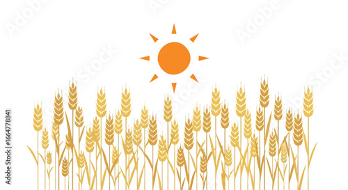 Golden Wheat Field Under a Bright Sun: A Serene Vector Illustration Symbolizing Harvest and Nature's Bounty, showcasing rural beauty