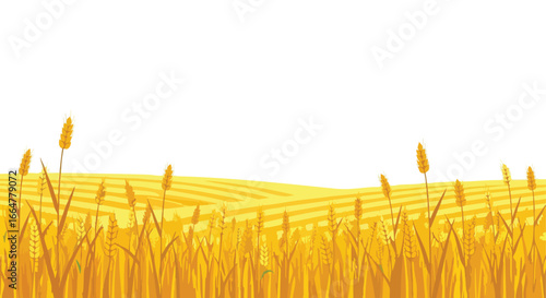 Stylized Golden Wheat Field Landscape Depicting Abundant Harvest and Agricultural Scenery under a Clear Sky