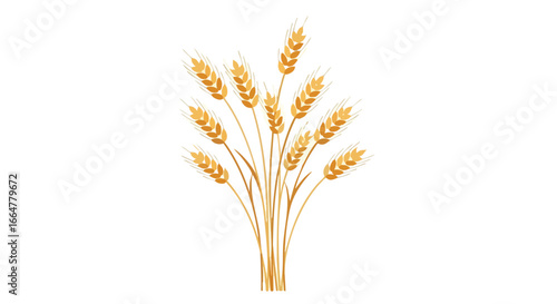 Golden wheat stalks illustration for agricultural concepts and food production design isolated on clean white background, ripe harvest element for