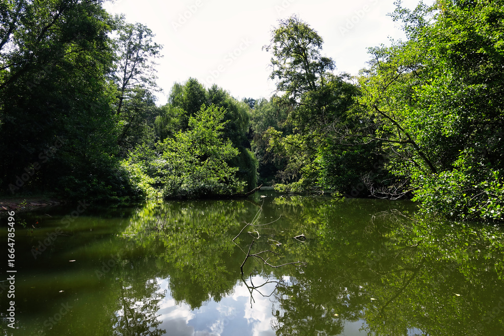 Fototapeta premium Kleiner Teich im Köllertal nahe Völklingne