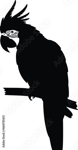 Hammerhead shark silhouette marine animal ocean wildlife silhouette vector
