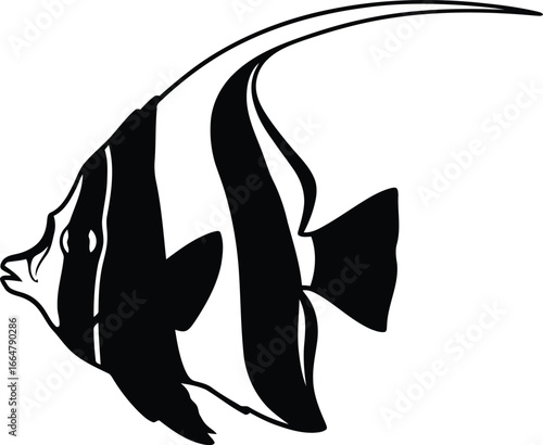 Monkfish illustration elegant marine life aquatic animal black and white design vector
