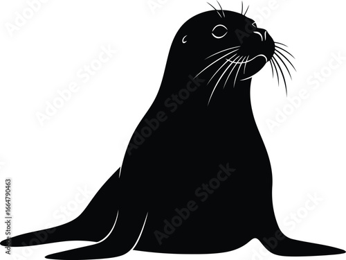 Adorable baby seal pups on beach coastal wildlife nature photography vector