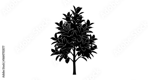 highresolution transparent background tree silhouette perfect for design projects websites and app interfaces