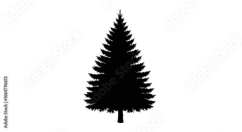 highresolution transparent background evergreen silhouette isolated pine tree image perfect for design projects websites and presentations